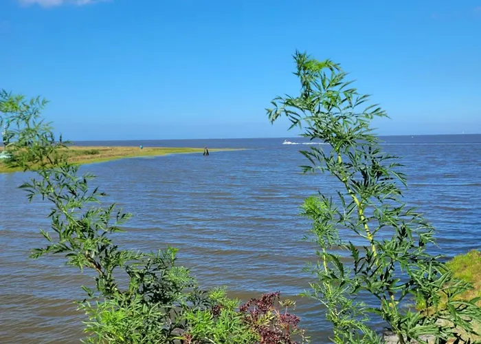 Nordseehus-hygge Butjadingen